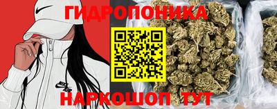 индика Ипатово