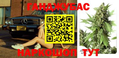 прущие грибы Будённовск