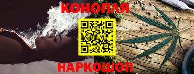 крисы Ирбит