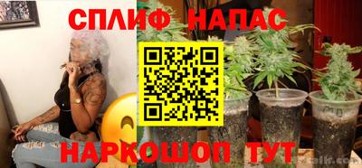 прущие грибы Будённовск