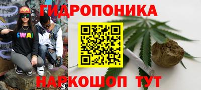 индика Ипатово
