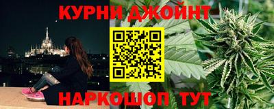крисы Ирбит