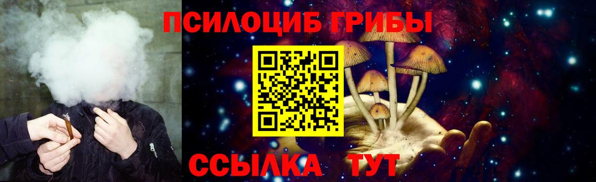 Псилоцибиновые грибы прущие грибы  Вход с VPN  Шебекино  Галлюциногенные грибы Psilocybe 
