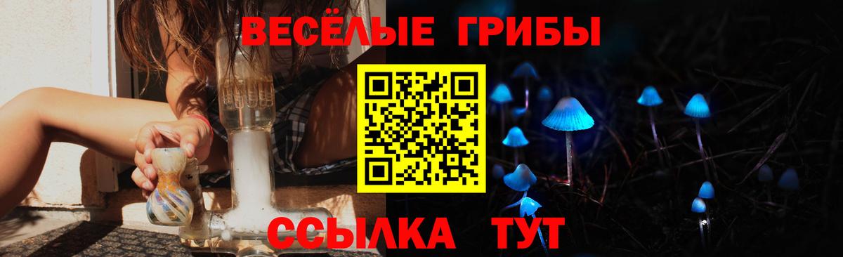 Галлюциногенные грибы мицелий Шебекино